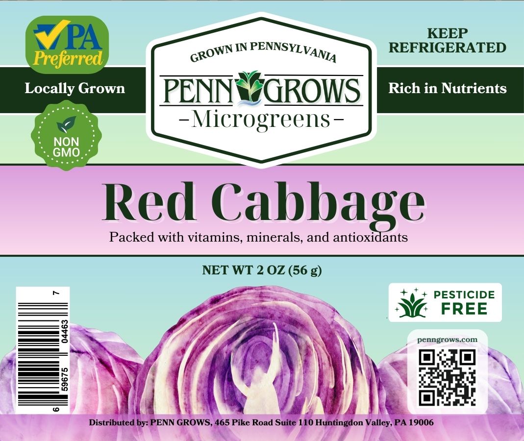 Cabbage - Red - Microgreens
