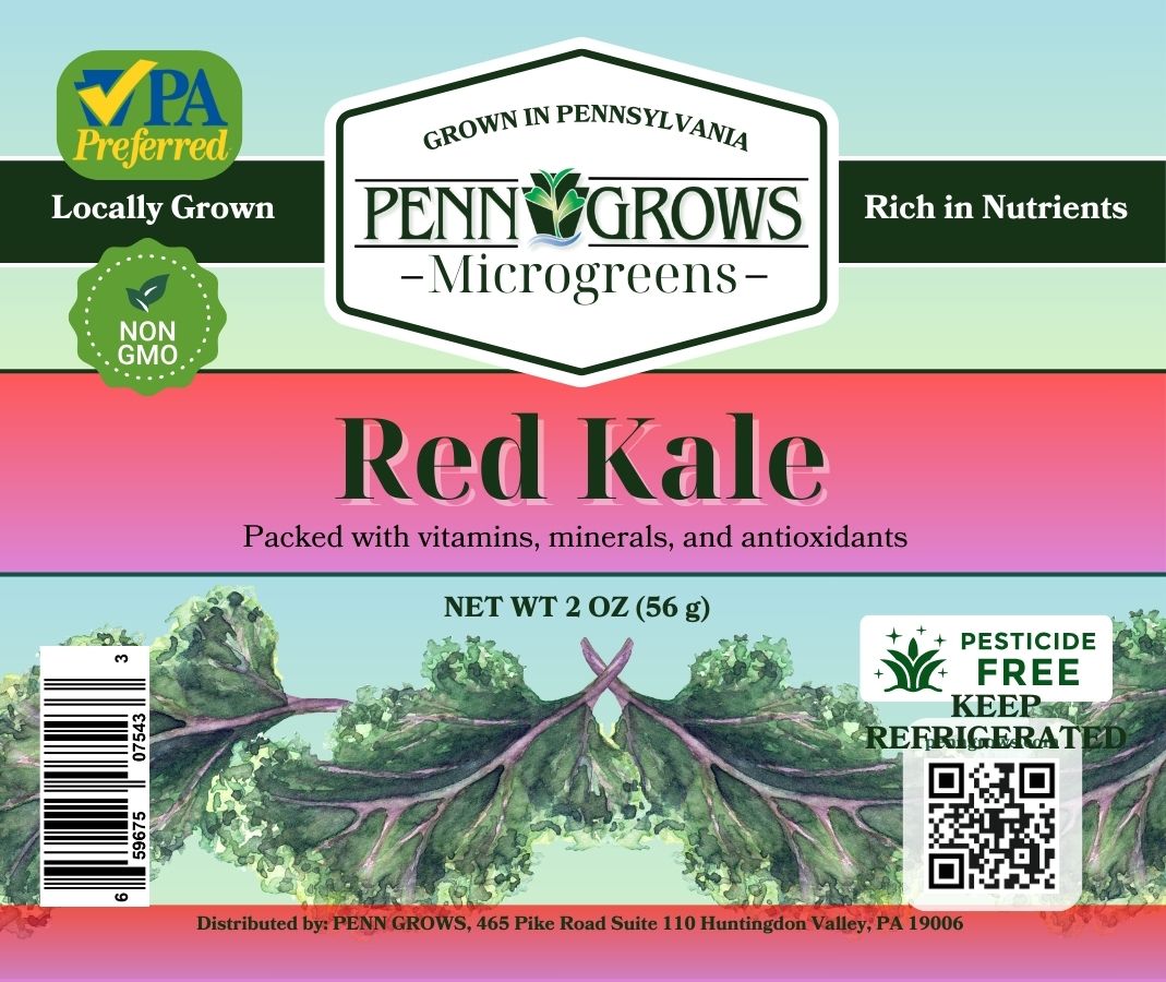 Kale - Red - Microgreens