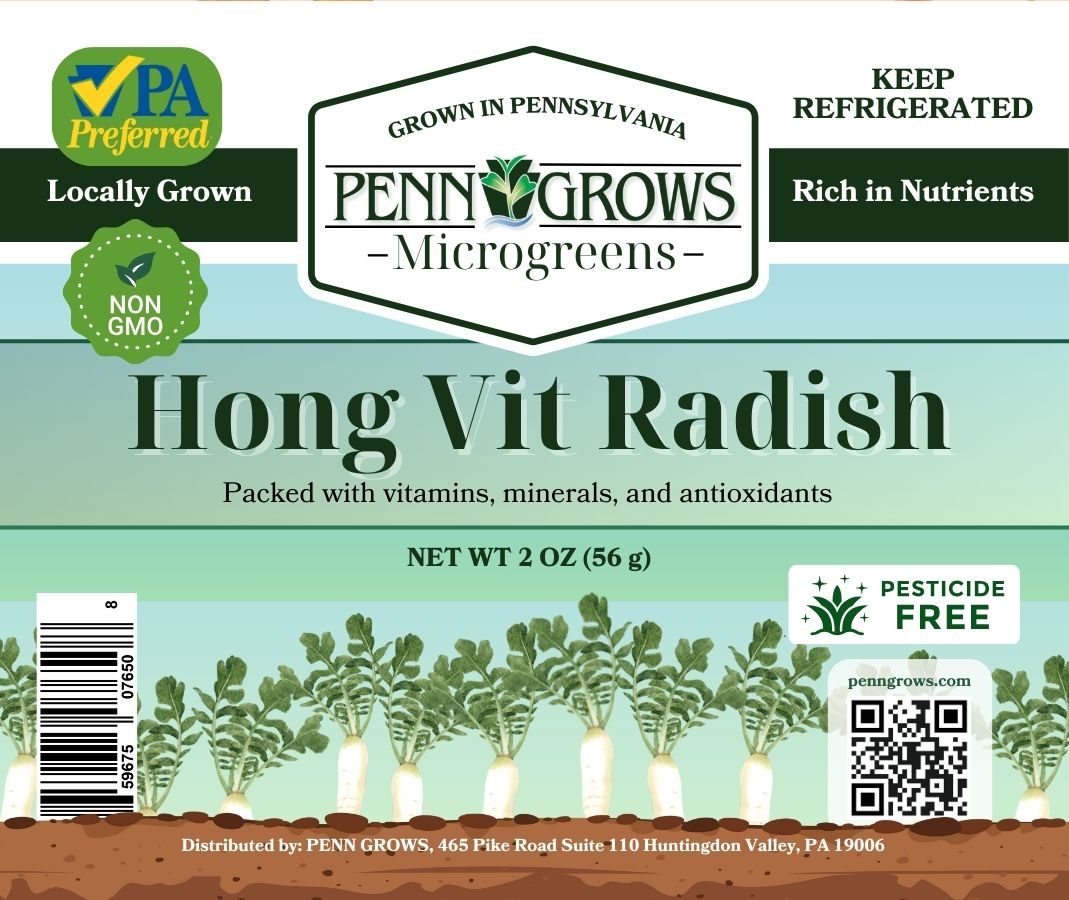 Radish - Hong Vit - Microgreens
